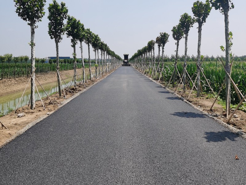 2021 年“四好農(nóng)村路”建設漕河鎮(zhèn)進村路和主要街道改造工程